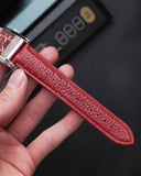 Specht & Söhne SP0040Q1 Quartz EDGE Red
